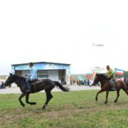 GBR_8309