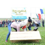 GBR_8433