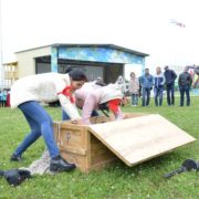 GBR_8444