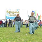 GBR_8543